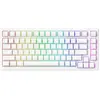 TAC75 HE Magnetic Keyboard- Black & White