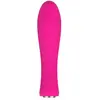 Nalone Ian Mini Vibrateur Rose 1ud