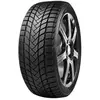 Delinte WD6 205-55R17 95H - Pneu auto Tourisme Hiver