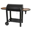 Somagic - barbecue vulcano 3000 fonte 70X48CM sur chariot
