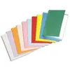 Rainex standard 180 100 chemises 24 x 32 cm assorties 305as
