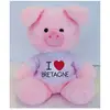 cijep Peluche Jemini Cochon Message Bretagne TU