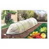 NORTENE Celloplast - Film de forcage spec primeur 2x5m ref 110005 climafilm