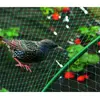 Celloplast - nortene - Filet protection anti oiseaux 10 m x 2 m vert