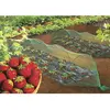 NORTENE Celloplast - intermas gardening - Filet protection oiseaux - 5x5 m