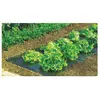 NORTENE Celloplast - Film de paillage toutes cultures terrafilm 1 40x5 m ref 100005