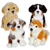 Animal en peluche Gipsy Chiens réalistes assis 25 cm Modèle aléatoire