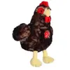 Gipsy - 070355 - peluche - poule - noir sonore - 22 cm