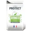 Flatazor Protect Dermato pour chiens
