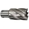 Makita - Fraises pour perceuse magnétique HB500 (Longueur 30mm)