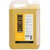 Ducastel Shampooing Concentré À L'abricot Ducastel 5l
