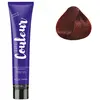 Ducastel Pro The Couleur Tube Coloration 100 ML N° 6.66 blond foncé rouge intense Duxelle