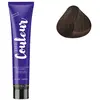 Ducastel Pro The Couleur Tube Coloration 100 ML N° 6.75 Blond foncé marron acajou Duxelle
