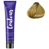 Ducastel Pro The Couleur Tube Coloration 100 ML N° 9.3 Blond très clair doré Duxelle