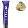 Coloration Permanente The Couleur de Ducastel Pro 10.0 Blond Clair Cla...