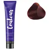 Ducastel Pro The Couleur Tube Coloration 100 ML N° 4.65 Châtain rouge acajou Duxelle