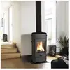 Habitat et Jardin INVICTA Remilly 7 kW Poele a bois Flamme Verte 7* - Buches 34 cm