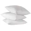 Petit Meunier Le Moelleux Naturel Oreiller, Blanc, 1 Unité (Lot de 1)