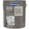 Blanchon Peinture sol couleur 2,5L - Gris Clair BLANCHON