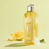 L'OCCITANE - Gel Douche Verveine Agrumes - 250 ml - Fabriqué en France