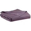 3S. x Home Drap plat Zeff Raisin