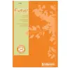 Bloc Forever Calligraphe Orange, 100 feuilles A4 Q.5x5