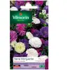 Vilmorin 5703442 Reine Marguerite, Multicolore, 90 x 2 x 160 cm
