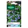 VILMORIN Myosotis des Alpes bleu