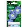 VILMORIN Ipomée à grande fleur bleue