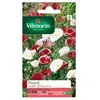 Vilmorin 5458442 Pavot Multicolore 9 x 0,5 x 16 cm