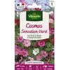 VILMORIN Cosmos Sensation varié