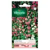VILMORIN Clarkia élégant double varié