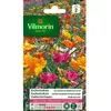 VILMORIN Eschscholtzia de Californie Ballerine varié