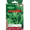VILMORIN Epinard monstrueux de Viroflay