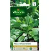 VILMORIN Mâche a grosse graine