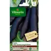VILMORIN Radis noir gros long d hiver