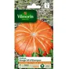 VILMORIN Sachet graines de Potiron vif d'Etampes