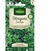 VILMORIN Tétragone cornue