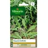 VILMORIN Roquette cultivée