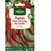 VILMORIN Poivron doux long des Landes