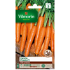 Carotte presto hf1 Vilmorin