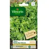 VILMORIN Laitue Batavia Reine des Glaces frisée de Beauregard
