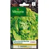 VILMORIN Laitue Pommee Grosse blonde paresseuse