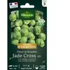 VILMORIN Chou de Bruxelles Jade Cross HF1