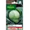 VILMORIN Chou cabus tête de pierre HF1