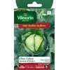 VILMORIN Chou Cabus Quintal d'Alsace