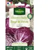 VILMORIN Chicorée à larges feuilles rouges de Vérone