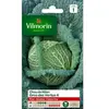 VILMORIN Chou de Milan gros des vertus