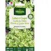 VILMORIN Laitue à couper feuille de Chêne blonde graines noires