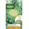 Vilmorin Sachet graines Chicorée Scarole Ronde Verte à Coeur Plein
